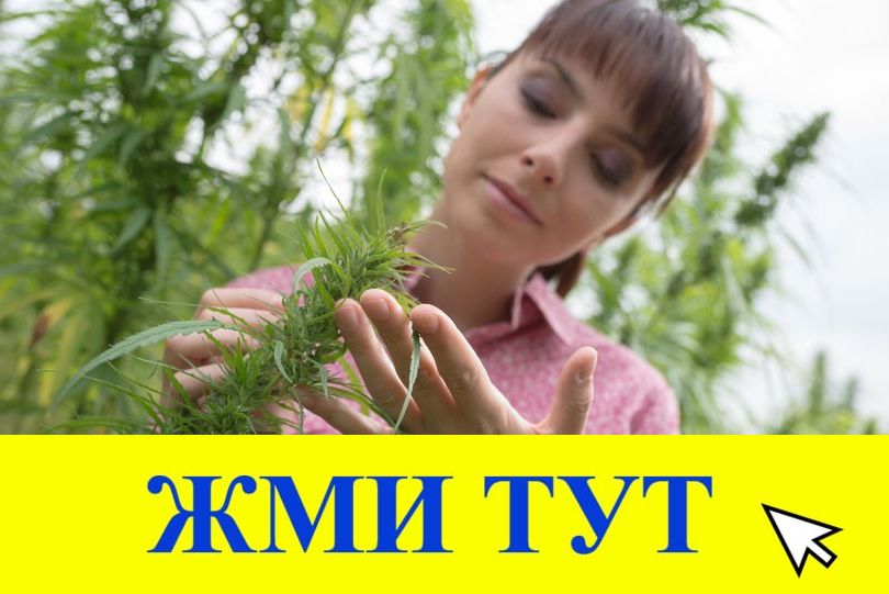 Купить наркотики в Майкопе